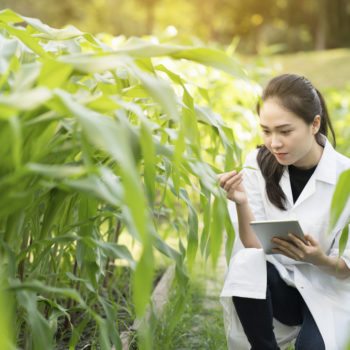 Agricultural Inspector