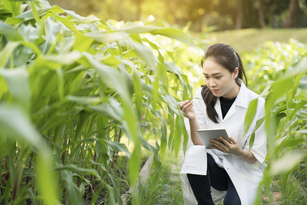 Online agriculture business degree