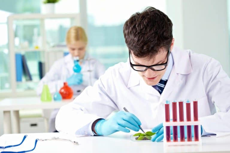 Biochemist Salary, How to Job Description & Best Schools