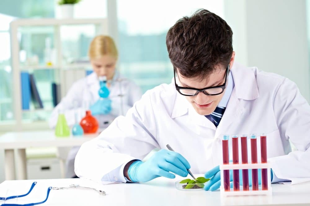 Biochemist - Salary, How to Become, Job Description & Best Schools