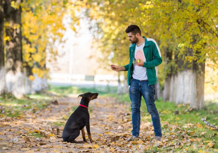 dog-trainer