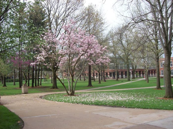 Truman State University Tuition Rankings Majors Alumni 