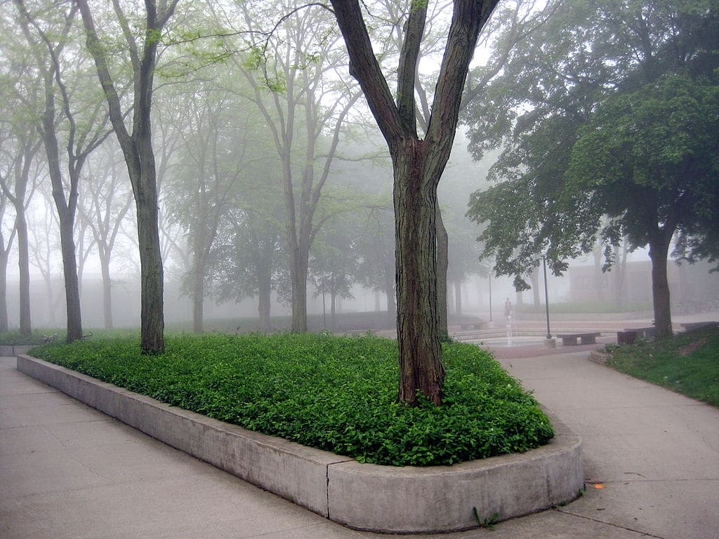 Goshen College in Goshen, Indiana