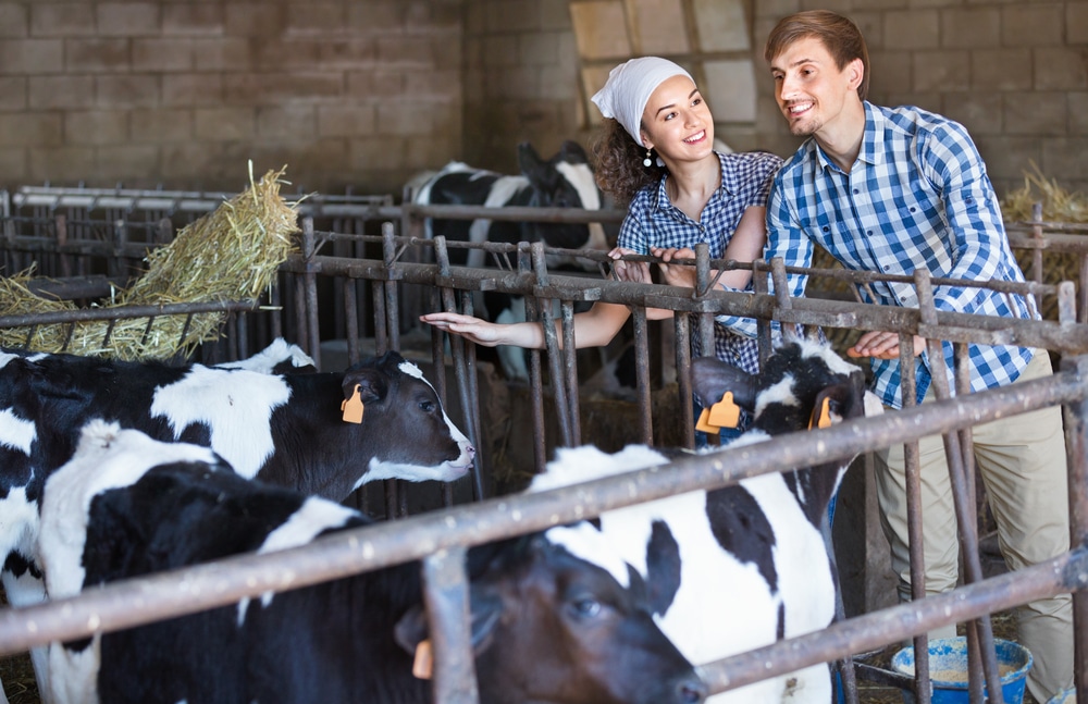 Dairy Farmer - Salary, How to Become, Job Description & Best Schools