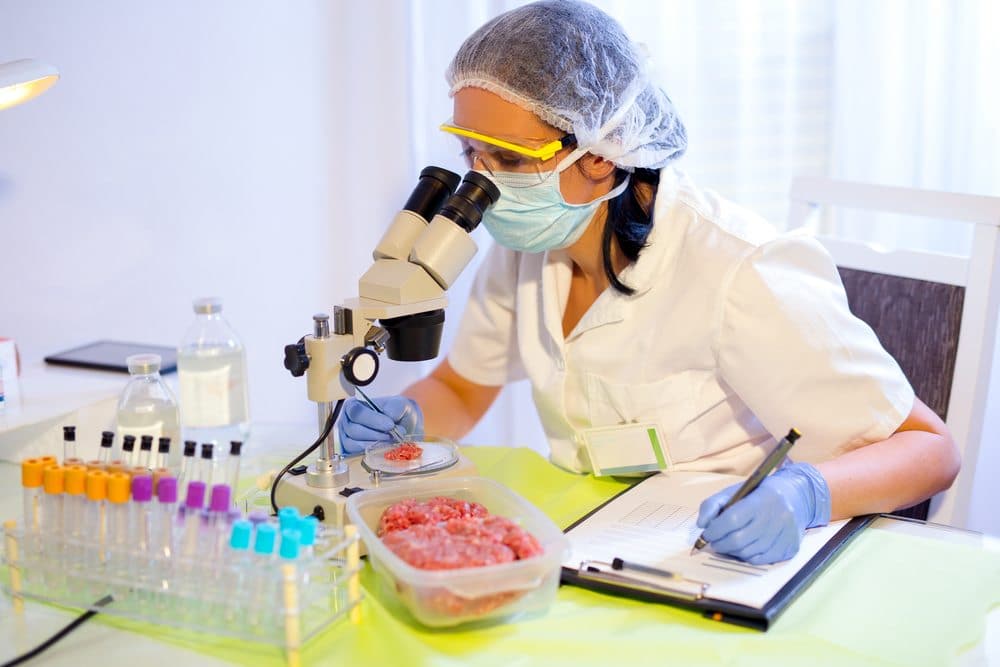 Food Science Degree Best Schools, Major & Programs