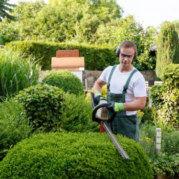 Landscaper