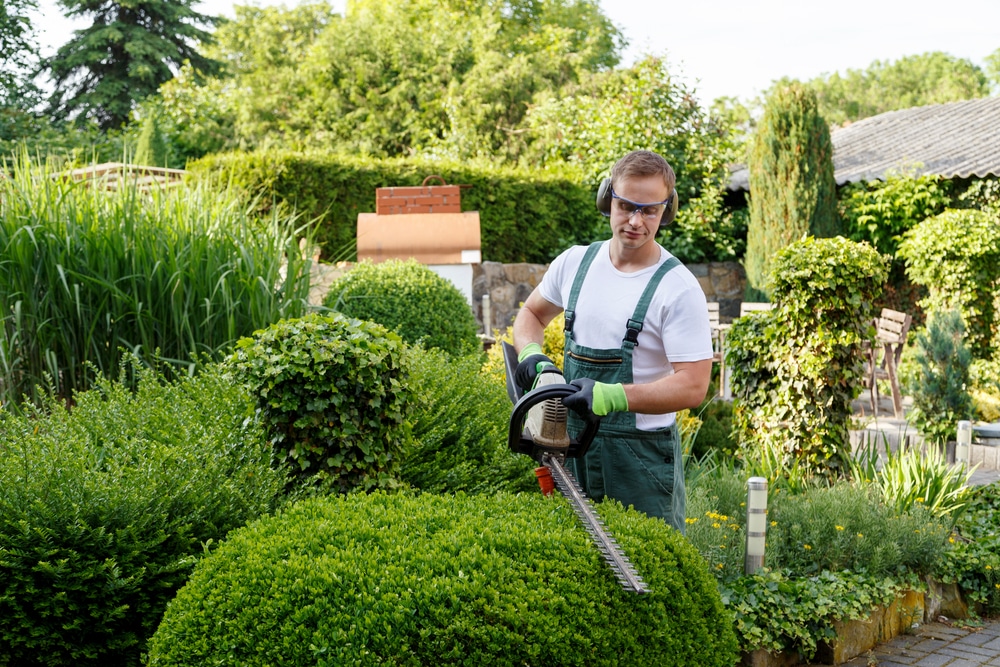 Landscaper Salary How To Become Job, Turf And Landscape Management Salary
