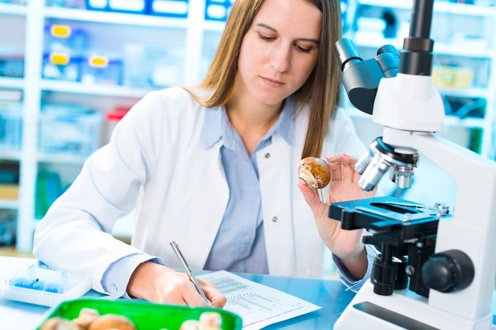 inscryption mycologist inscryption mycologist