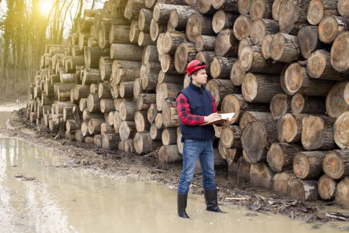 Timber Harvester Auburn Al,