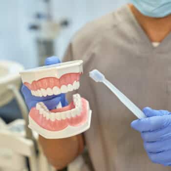 dental hygienist showing sample of teeth