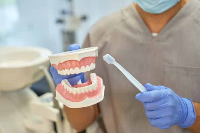 dental hygienist showing sample of teeth